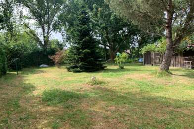 Terrain  81000 €