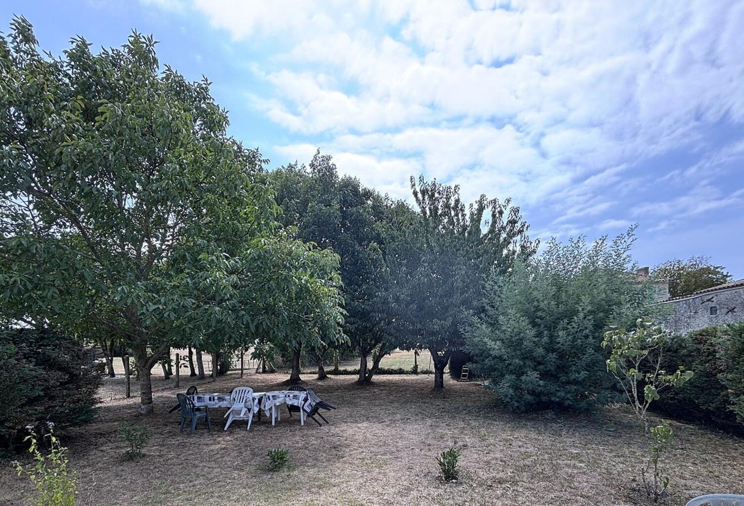 Terrain À Vendre — photo 1