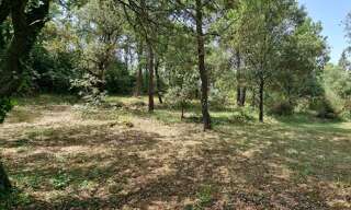 Terrain 2000 m² à construire Saint-Maximin-la-Sainte-Baume (83470)