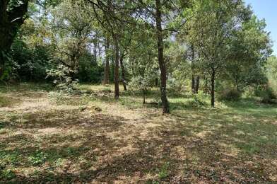 Terrain  180000 €