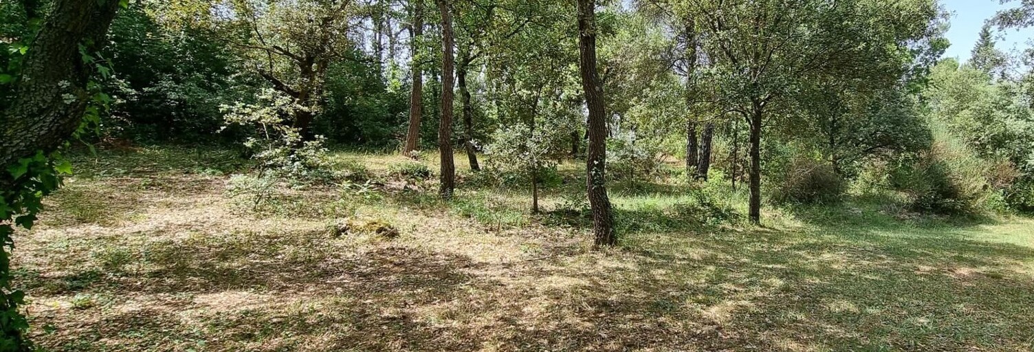 Terrain 2000 m² à construire Saint-Maximin-la-Sainte-Baume (83470)
