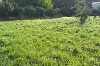 Terrain  95000 €