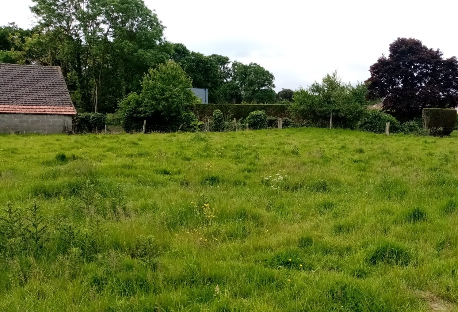 Terrain à vendre proche de VEULES LES ROSES (76) — photo 1