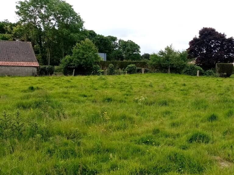 Terrain à vendre proche de VEULES LES ROSES (76) — photo 1