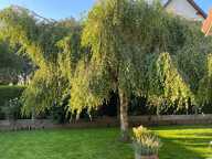 Maison à vendre 5 pièces – 105 m² – Jardin 900 m² – Mouen (14 790) — photo 2