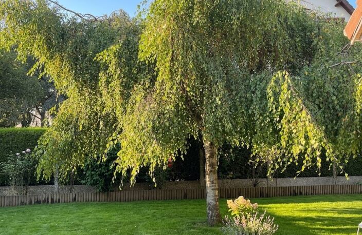Maison à vendre 5 pièces – 105 m² – Jardin 900 m² – Mouen (14 790) — photo 2