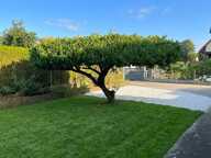 Maison à vendre 5 pièces – 105 m² – Jardin 900 m² – Mouen (14 790) — photo 4
