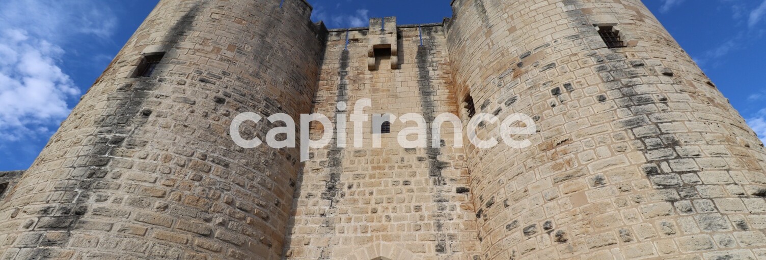 Commerce 4 Pièces 115 m² à vendre à Aigues-Mortes (30220)