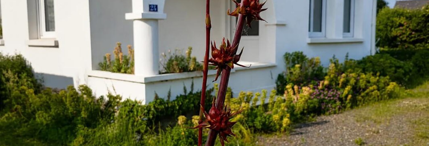 Photo N° 2