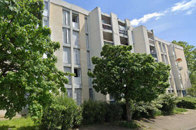 Appartement 3 pièces 525 €