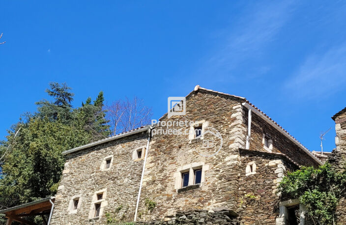 Mas  typiquement cévenol - Malbosc (limite Gard/Ardèche) 215 m² | 8 pièces | Terrain  17 497 m²| Piscine — photo 2