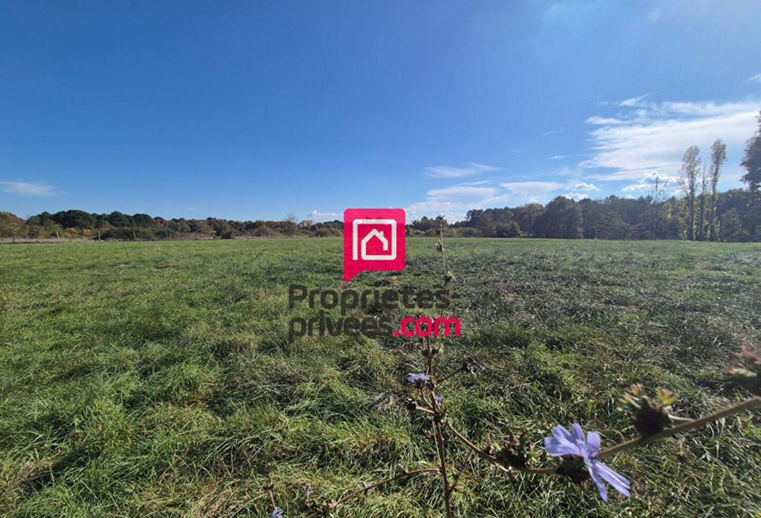 Terrain constructible de 6262 m² - Beau potentiel de projet — photo 1