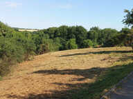 Thulay 25310 Terrain 2740 m2  constructible — photo 2