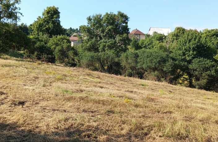 Thulay 25310 Terrain 2740 m2  constructible — photo 4