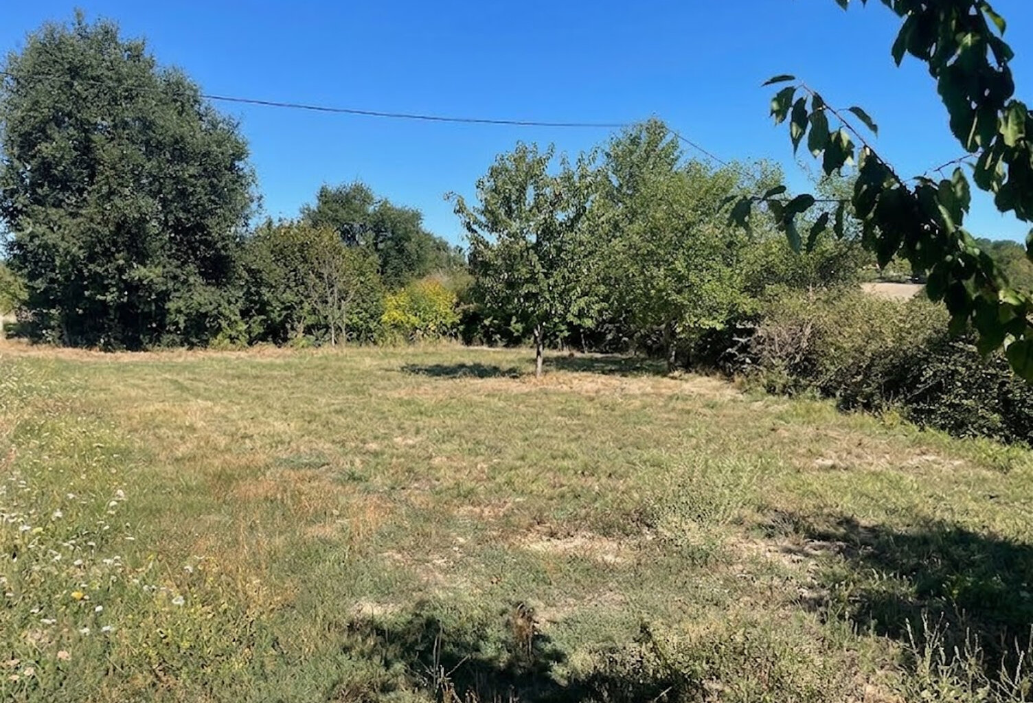 A Cognac la Forêt -Terrain  à bâtir de 1060 m2 avec un vrai potentiel d'aménagement — photo 1