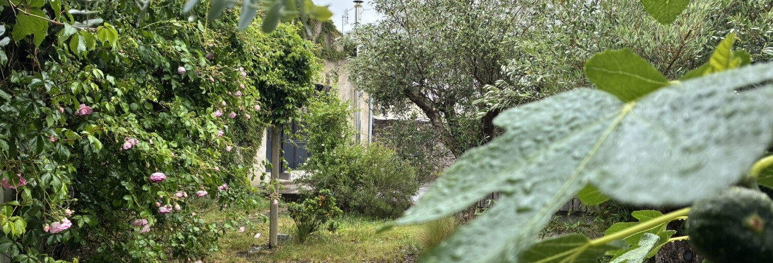 Maison 6 Pièces 220 m² à vendre à Chalonnes-sur-Loire (49290)