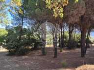 TERRAIN CONSTRUCTIBLE — photo 4