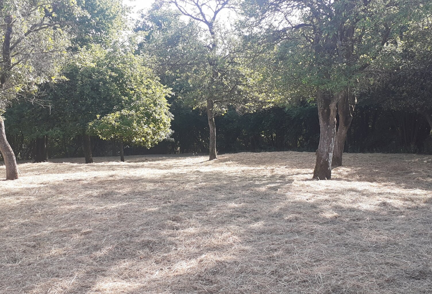 Vente Terrain 979 m&sup2; — photo 1