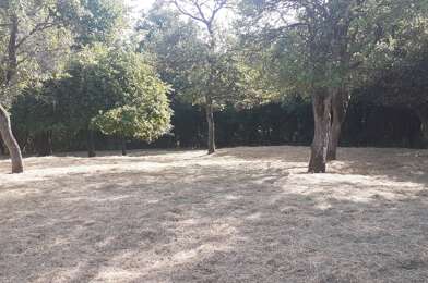 Terrain  56000 €