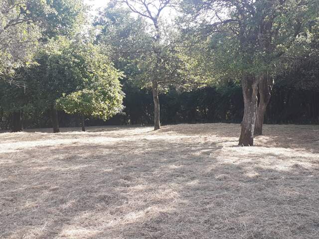 Vente Terrain 979 m&sup2; — photo du bien
