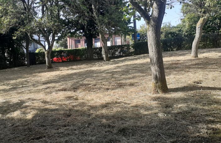 Vente Terrain 979 m&sup2; — photo 4