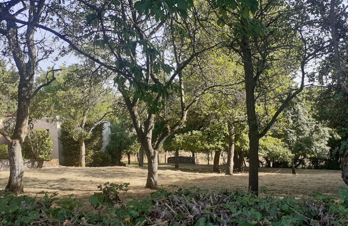 Vente Terrain 979 m&sup2; — photo 5