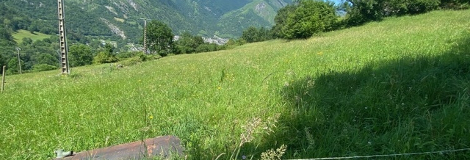 Photo N° 2