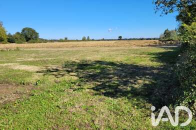 Terrain  19500 €