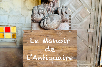Vente Manoir 10 pièces — photo du bien