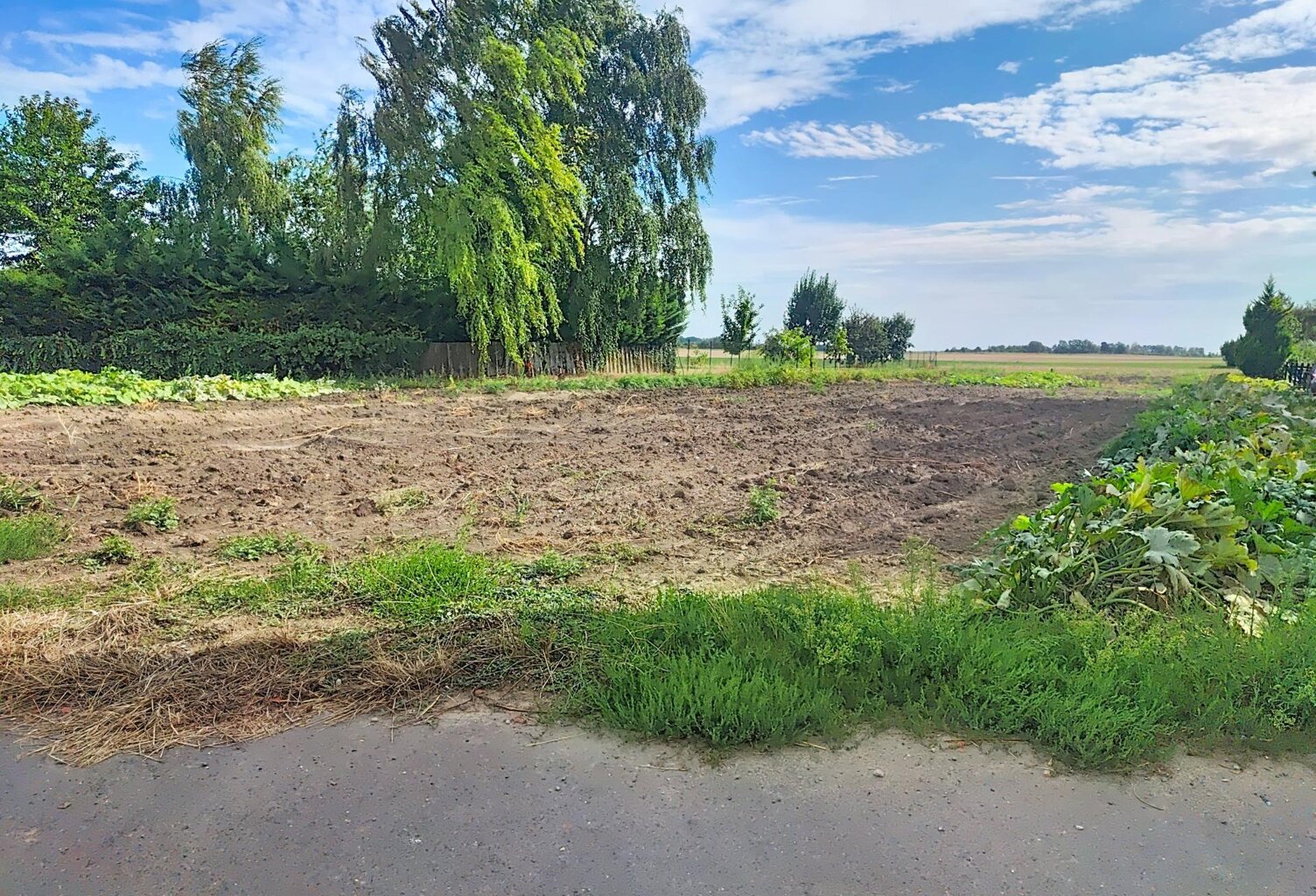 Votre futur cocon dans un écrin de tranquilité — photo 1