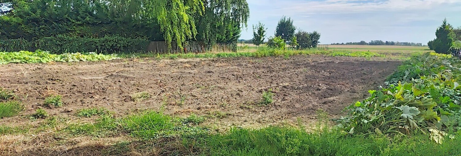 Terrain  1559 m² à vendre à Graincourt-lès-Havrincourt (62147)