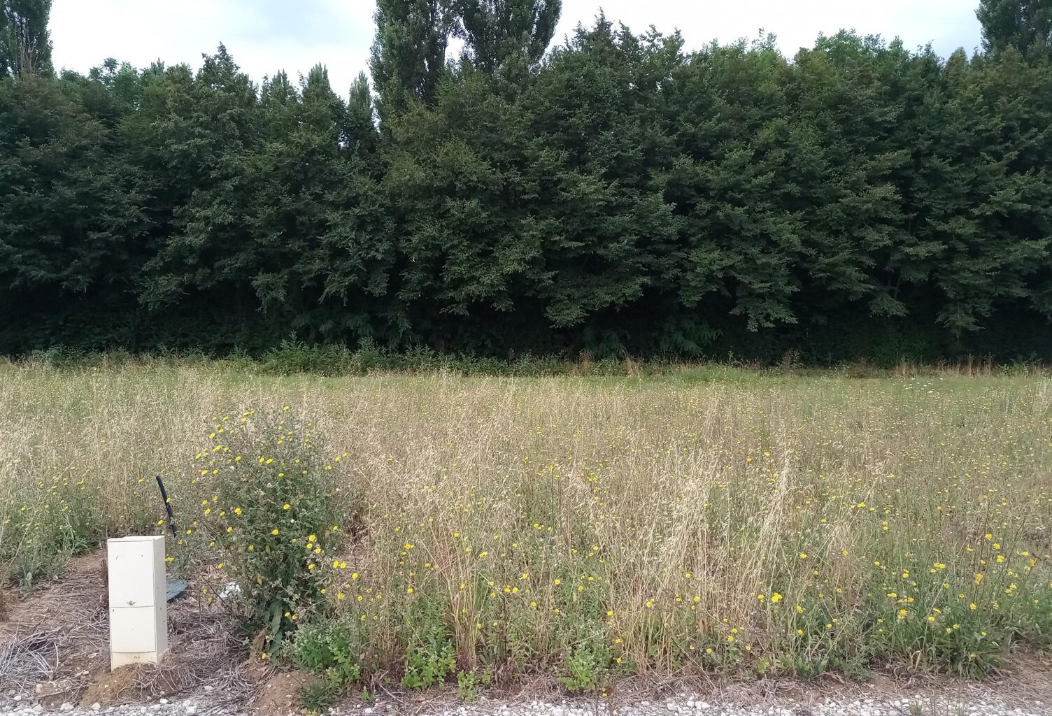 magnifique terrain constructible — photo 1