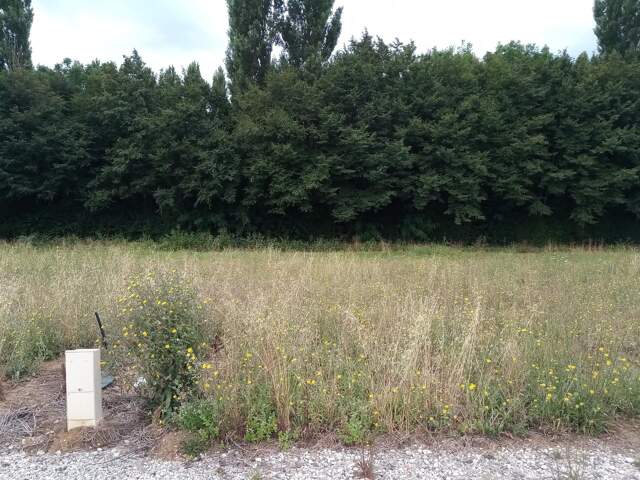 magnifique terrain constructible — photo du bien