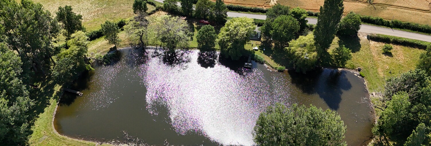 Maison   m² à vendre à Saint-Laurent-de-la-Salle (85410)