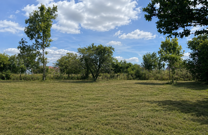Terrain à bâtir - ST JUIRE CHAMPGILLON - 85210 — photo 2