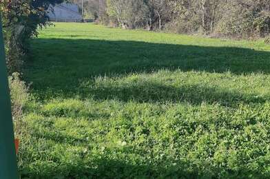 Terrain  49500 €