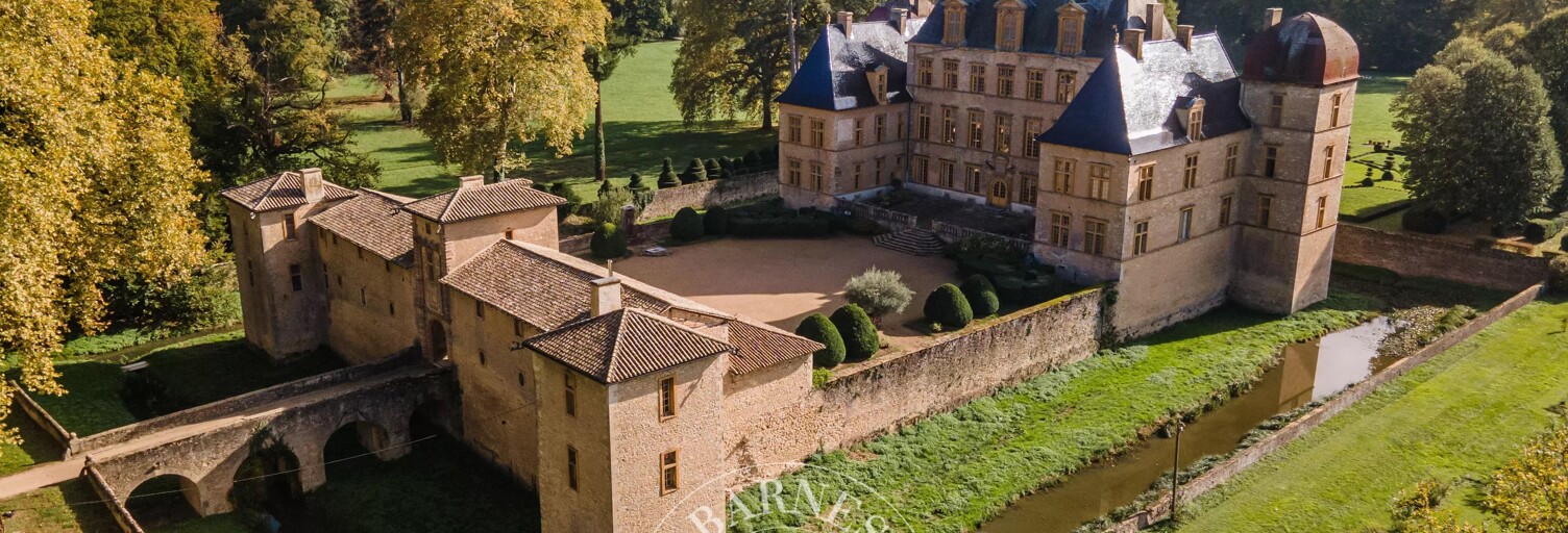 Maison 30 Pièces 1200 m² à vendre à Fareins (01480)