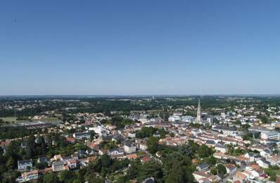 Local commercial — photo du bien
