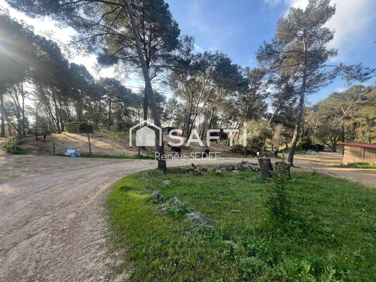 Haras , 12 héctares,6 parcelles — photo 1