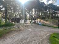 Haras , 12 héctares,6 parcelles — photo 3