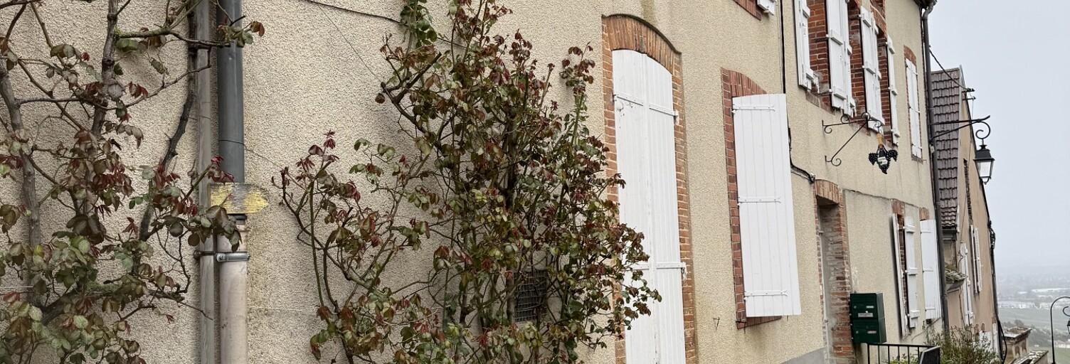 Immeuble  236 m² à vendre à Hautvillers (51160)
