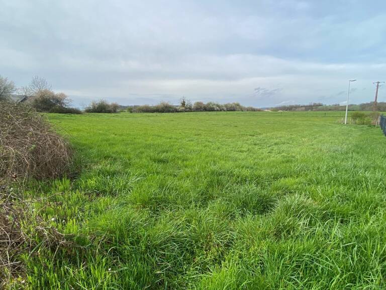 Terrain — photo 1