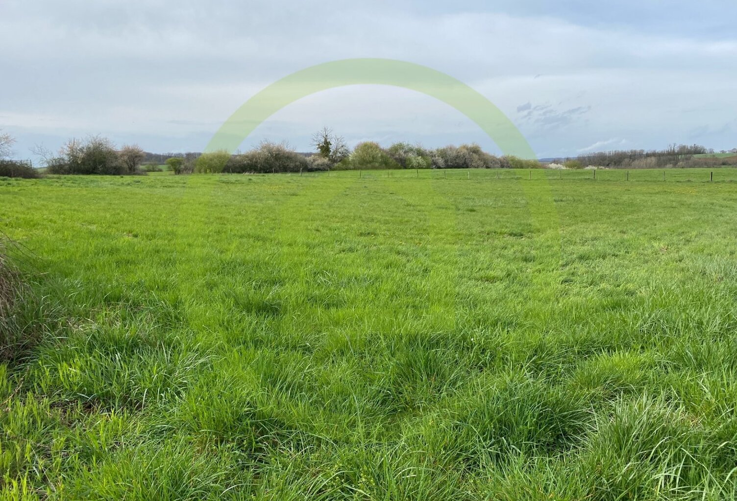 Terrain — photo 1