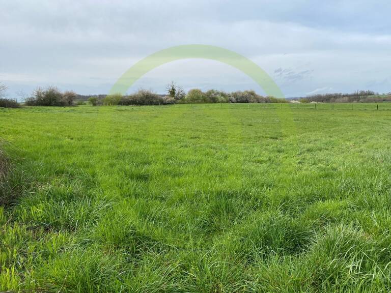 Terrain — photo 1