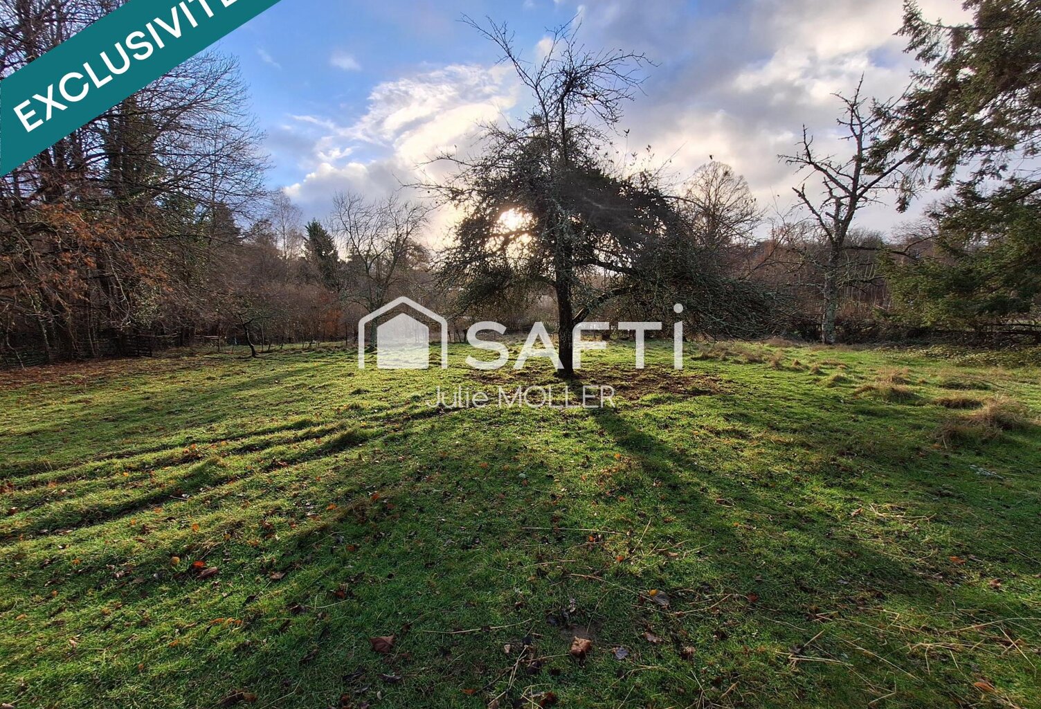 Deux maisons, un grand terrain, un beau projet ! — photo 1