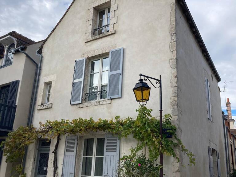 Vue Loire, maison de 1900, 3 chambres, 120 m2 — photo 1