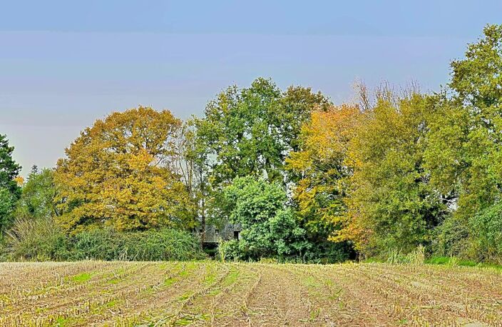 Propriété de caractère XIXe siècle — photo 4