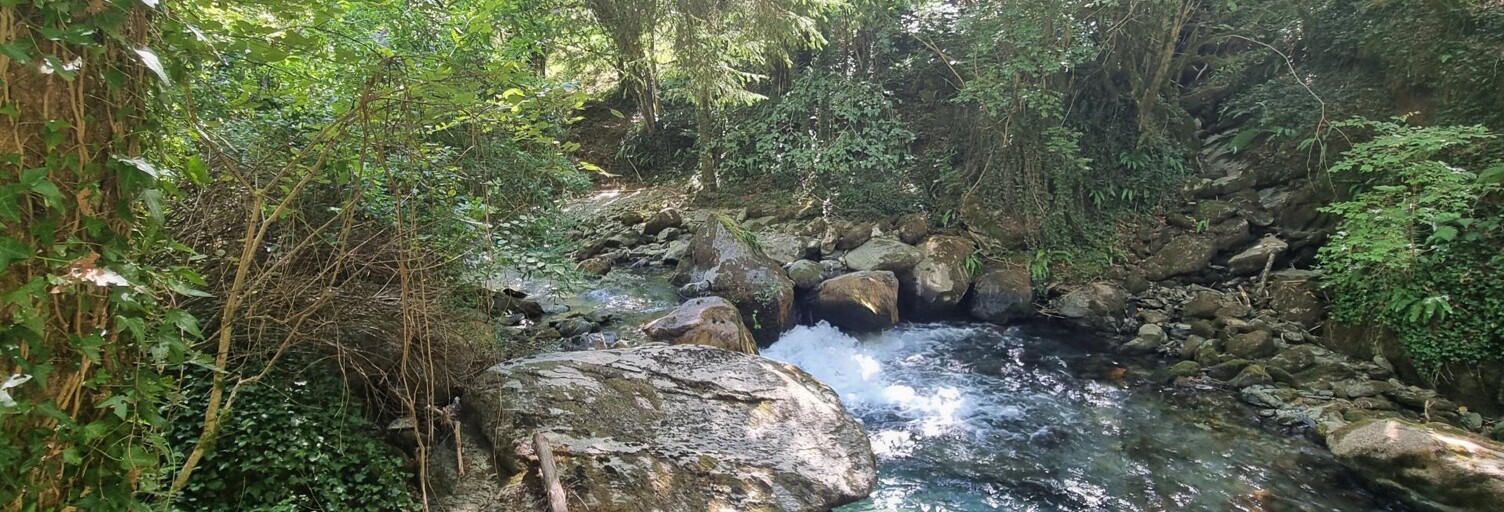 Photo N° 2