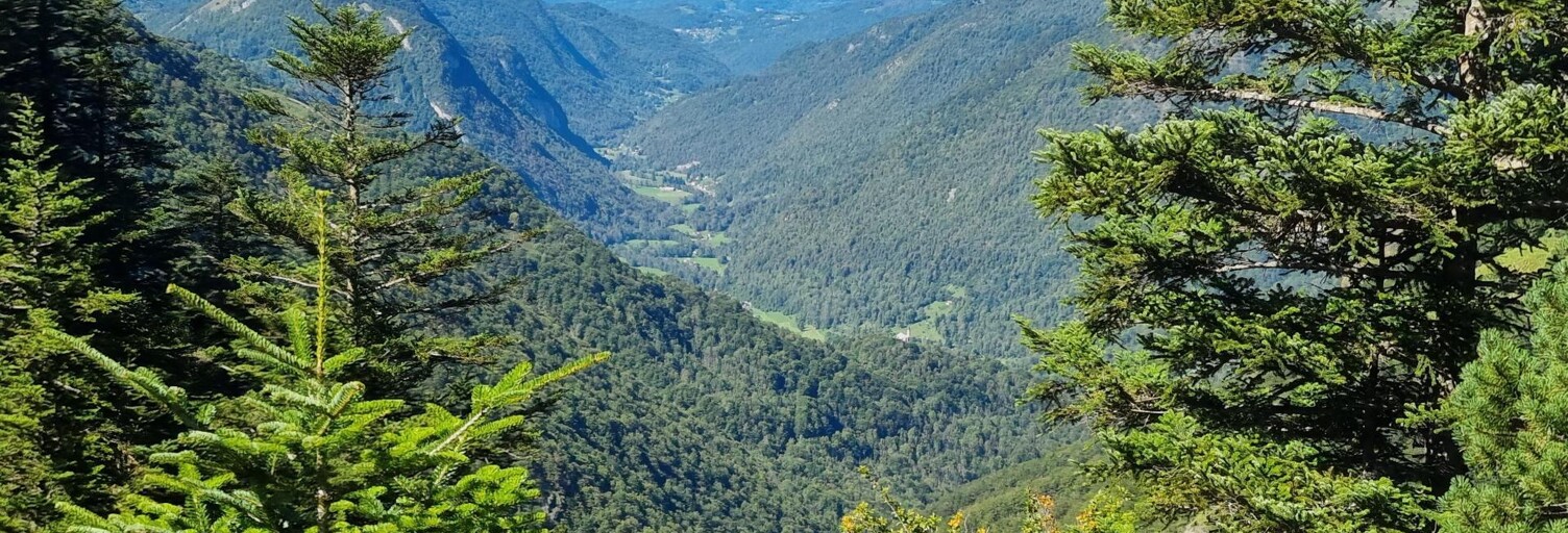 Terrain  126310 m² à vendre à Couflens (09140)