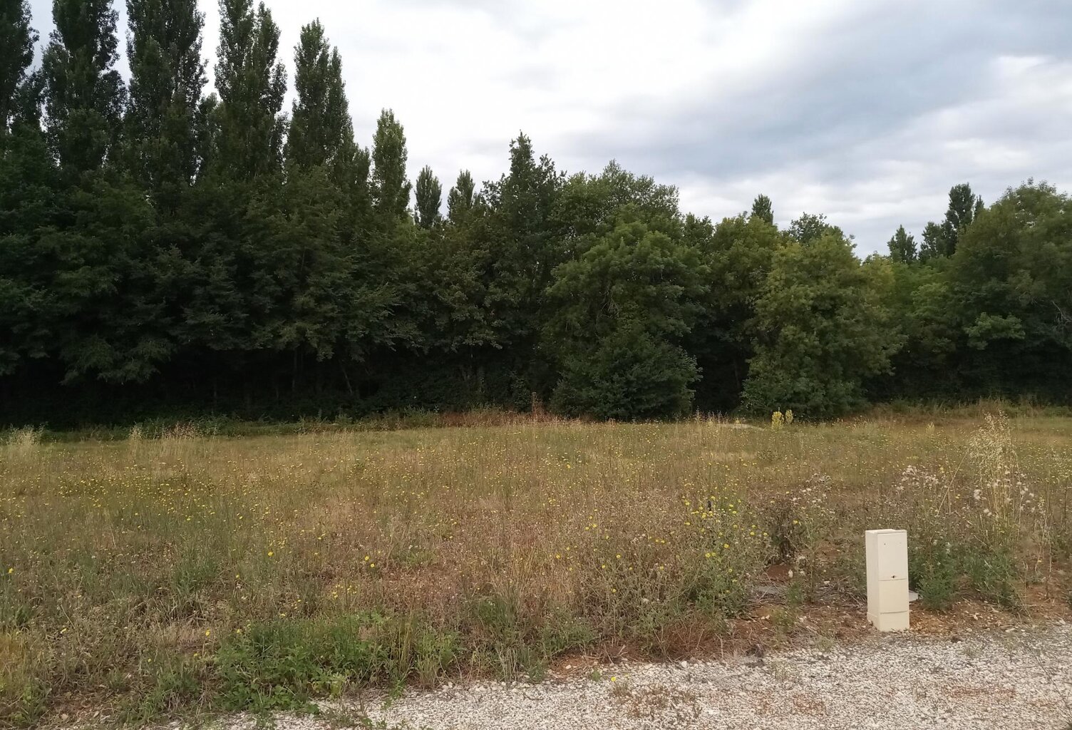 magnifique terrain constructible — photo 1